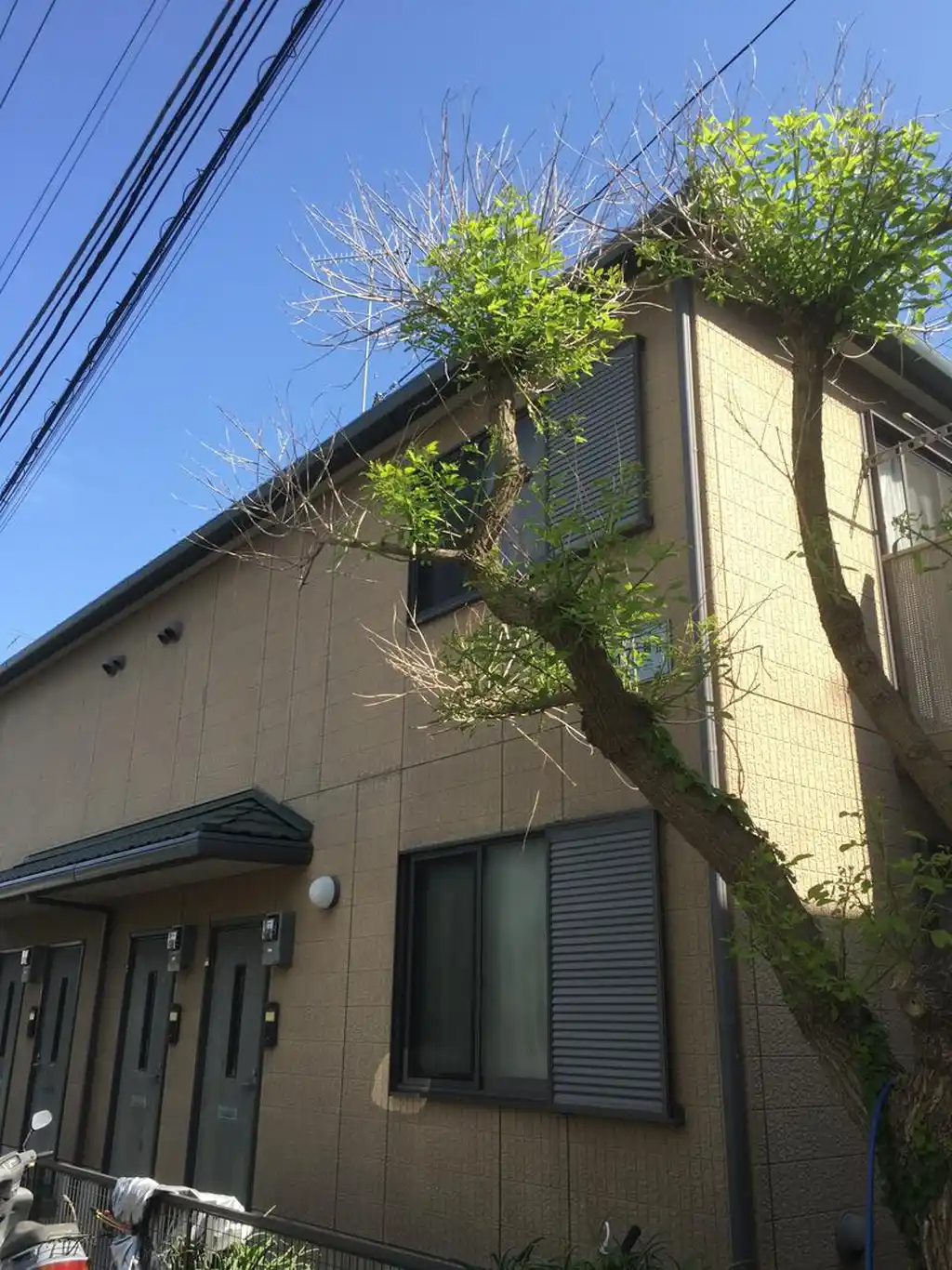 サンライフ片瀬 外観