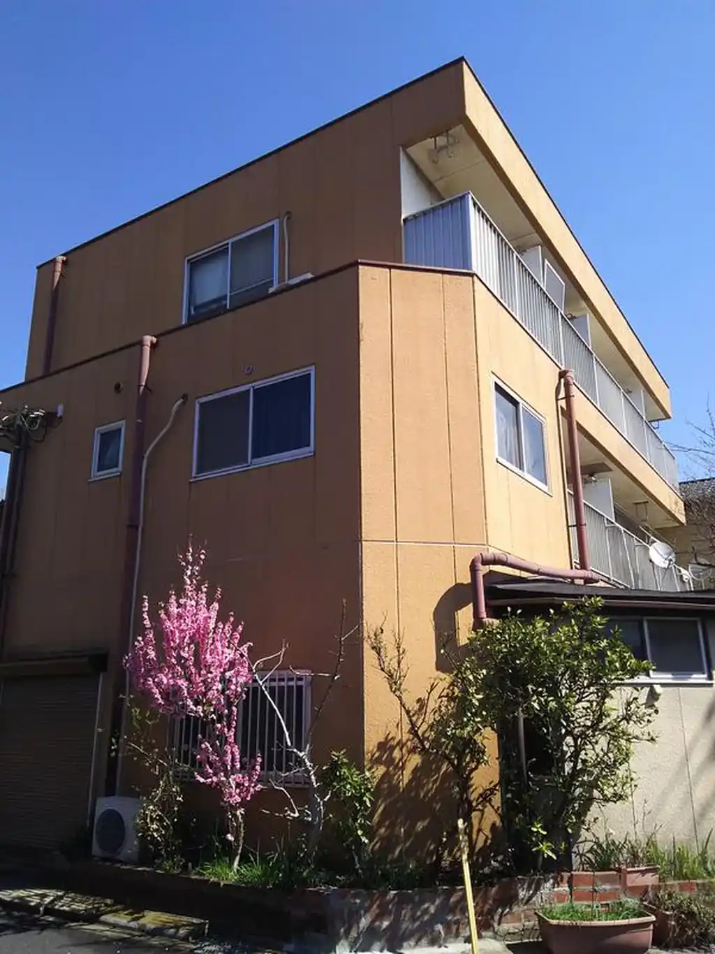 コアミハイツ 外観