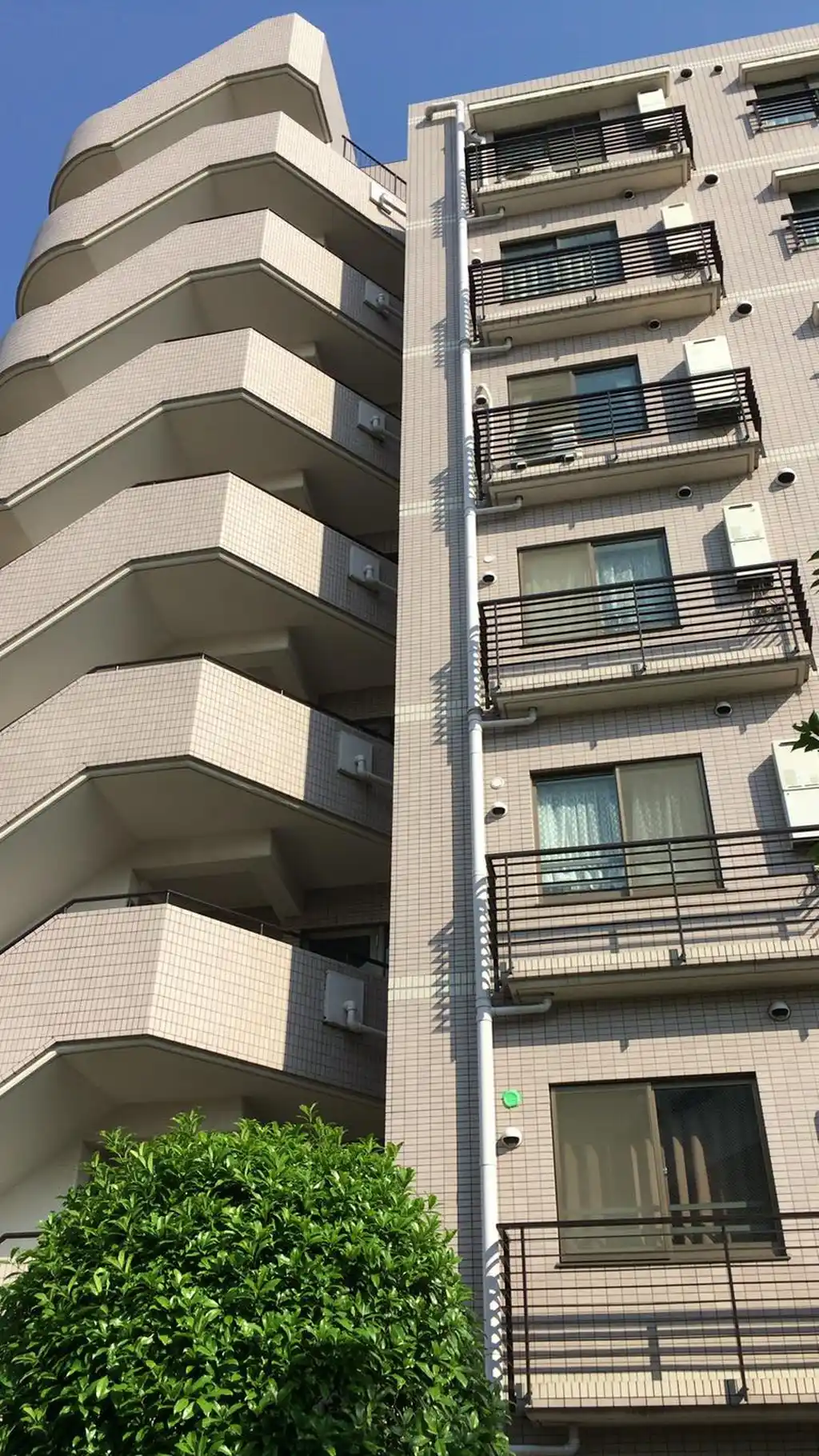 パークノヴァ向島 外観
