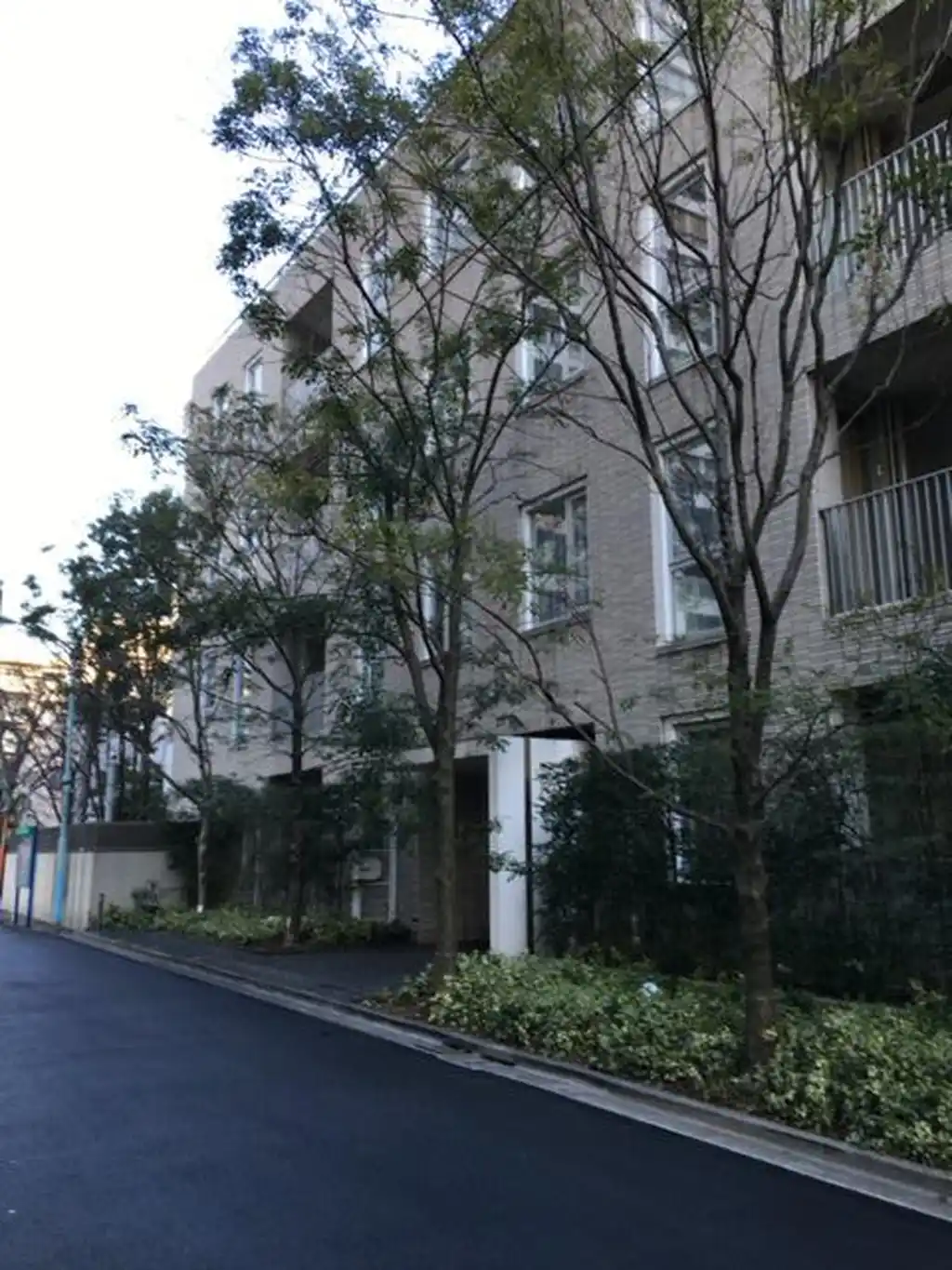 Blossom Terrace 外観
