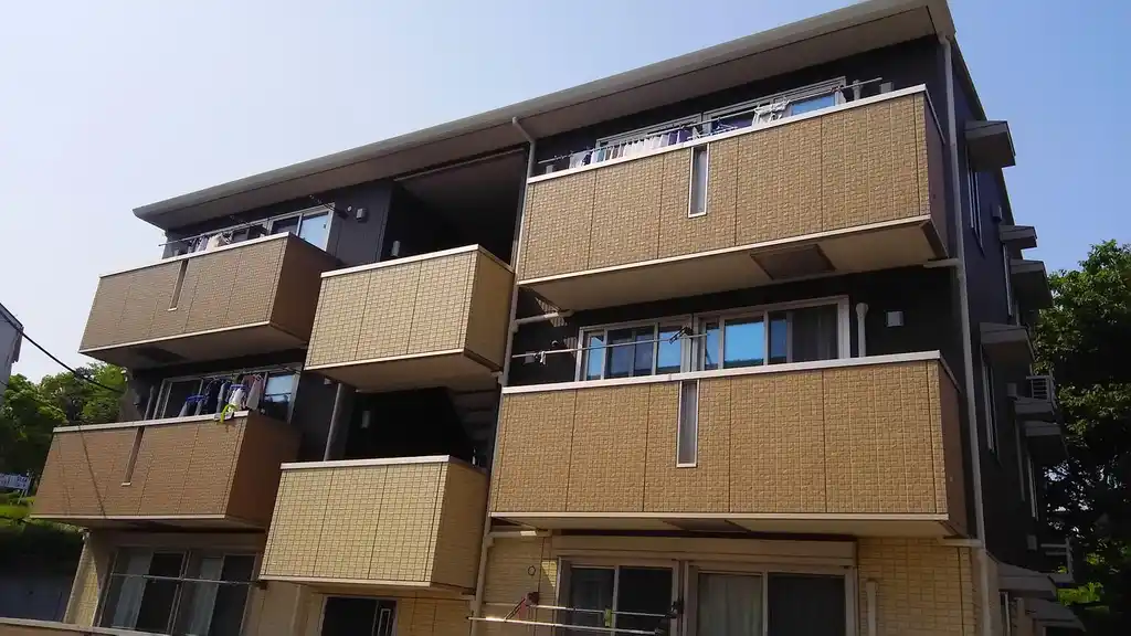 ハイビスカス 外観