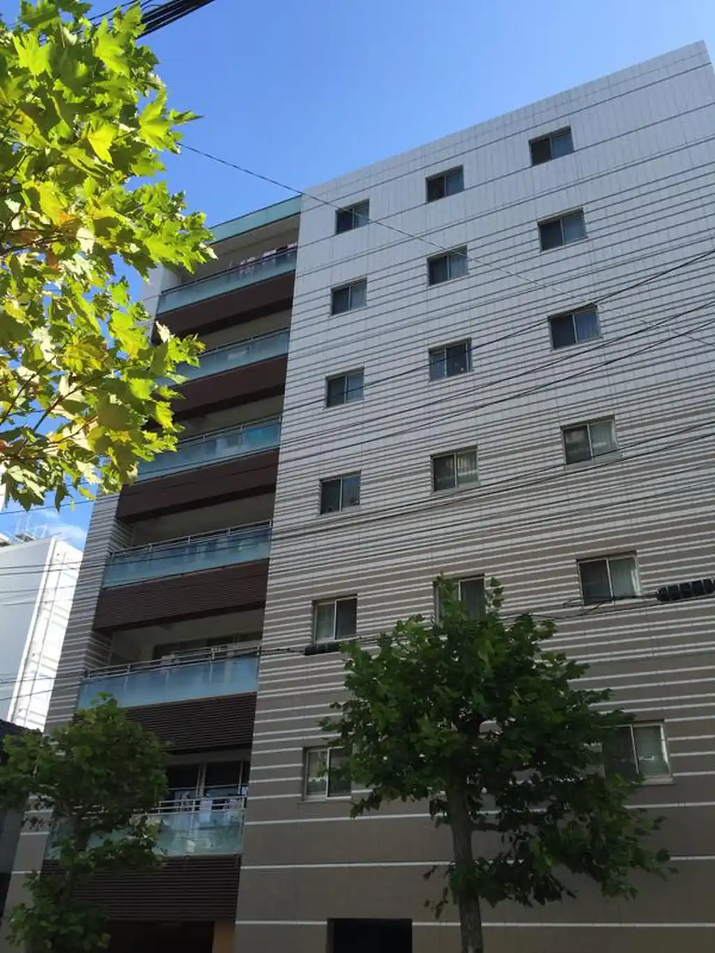 アスコットパーク両国亀沢 外観