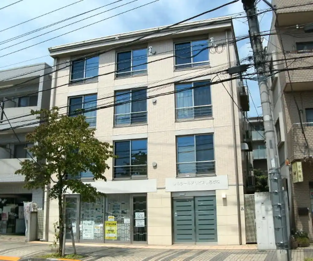 レルシールアリビオしろがね 外観