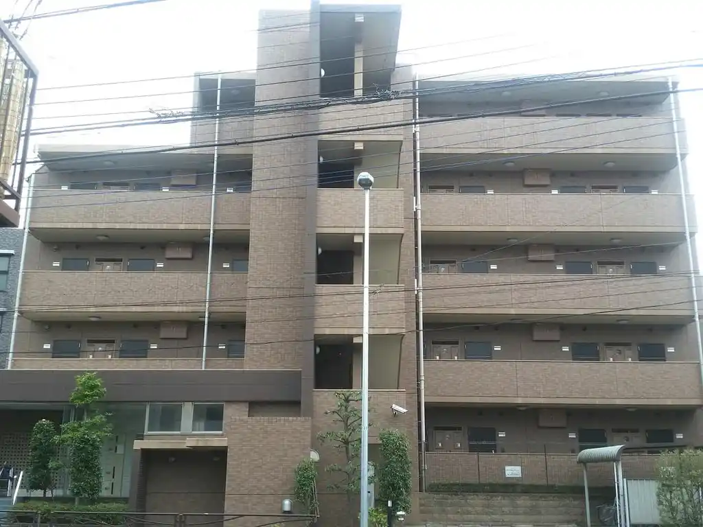オキザリス 外観