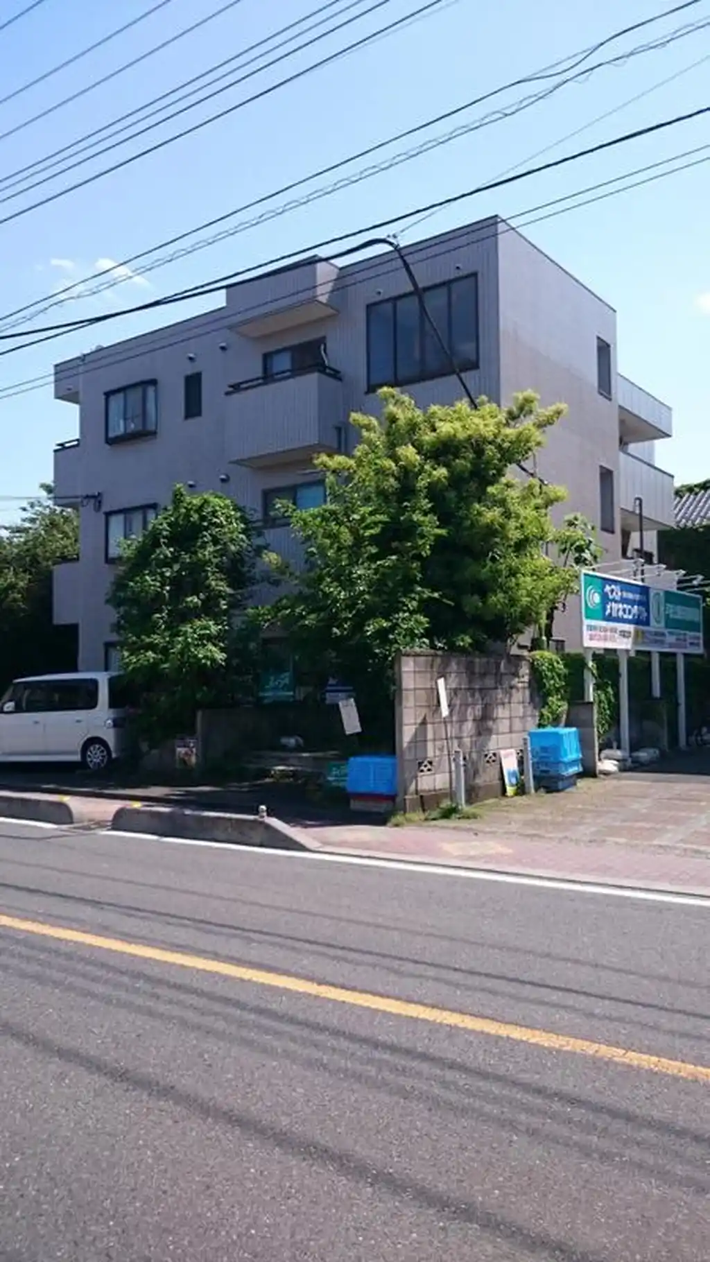 ウィード綱 外観