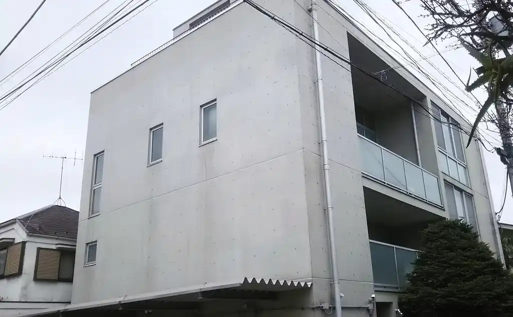 STEP 外観