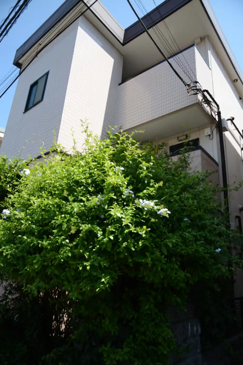 アークハイブリッジ 外観