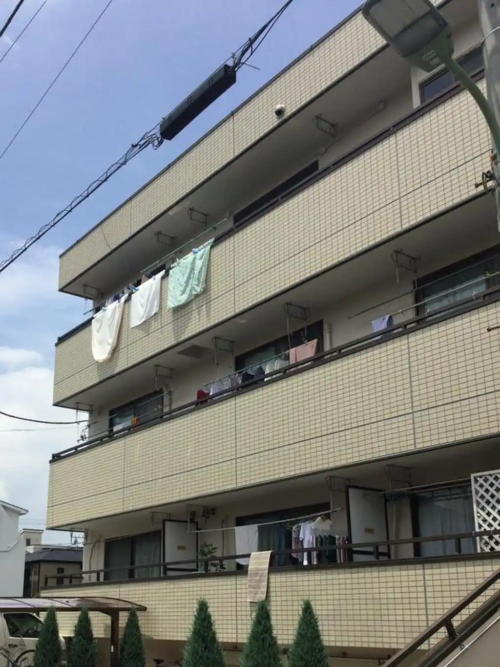 ドーマミウラ 外観