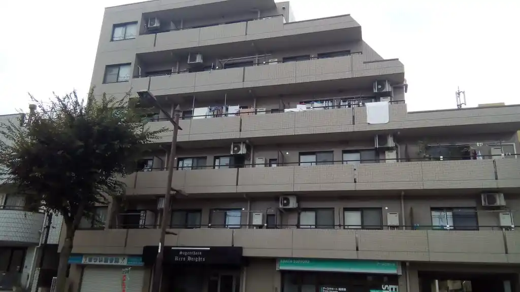 相模原レックスハイツ 外観