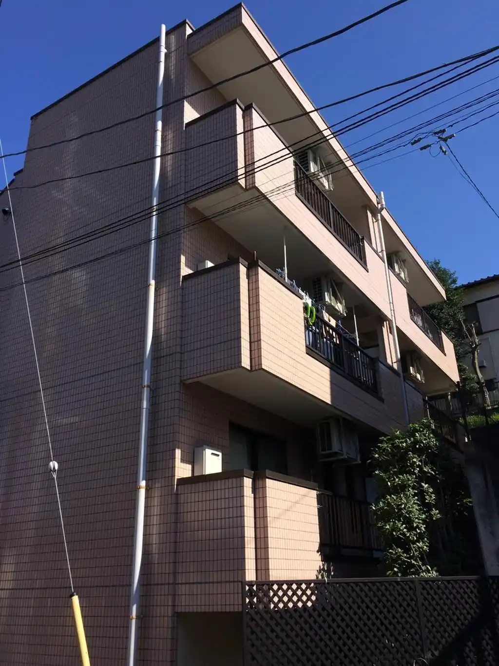 ウィル 外観