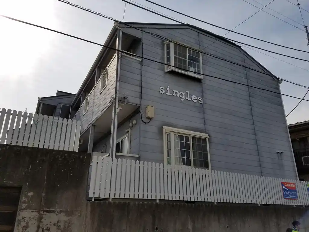 シングルス 外観
