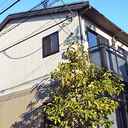 プレセント 外観