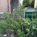 IM ESCAPE 外観