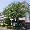 県公社北浦和住宅4号棟 外観