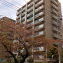 エコルシオングランデール川口EAST 外観