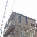 Adonis 外観