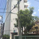 アルカス豊田 外観