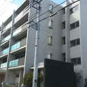 希望 外観