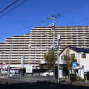 グランセリーナ 外観