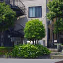 DRホームズ与野 外観