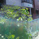 TSKII 外観
