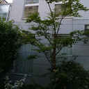 N-FLAT 外観