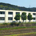 レビー 外観