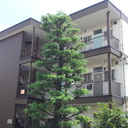 和光マンション 外観