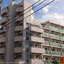 トップ蓮根NO1 外観