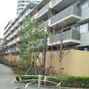 エルザ世田谷East Residence 外観