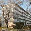 花見川団地6-17 外観