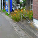 関山荘 外観