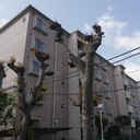 京王山田マンションA棟 外観