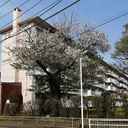 花見川団地7-8 外観