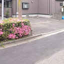ARCADIA GSII 外観