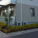 LumiereD 外観