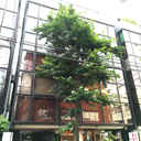 新宿税理士ビル別館 外観