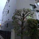 コンフォール桜新町 外観