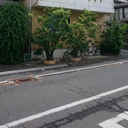 Fコート 外観