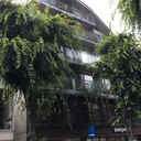 NEST 外観