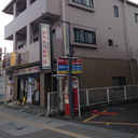 桜の木ヨシノ 外観