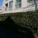 murblanc 外観