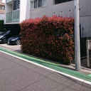 FLAT CUBE 外観