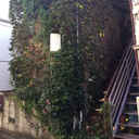 遠藤荘 外観