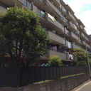 ライオンズプラザ金町 外観