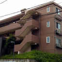 Lagurusazamino 外観