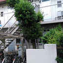 ハイム相模大野 外観