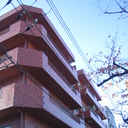 第30宮庭マンション 外観