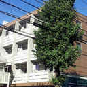 フェリーチェ青葉台 外観