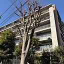 シティハウス武蔵小杉ガーデン 外観